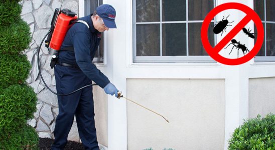 Tillo Dezenfeksiyon böcek ilaçlama ve haşere kontrolü — ilaclama-tr.com
